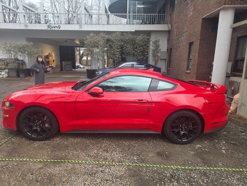 Ford Mustang Coupe — пробег 51 000 км — фото 3 из 5