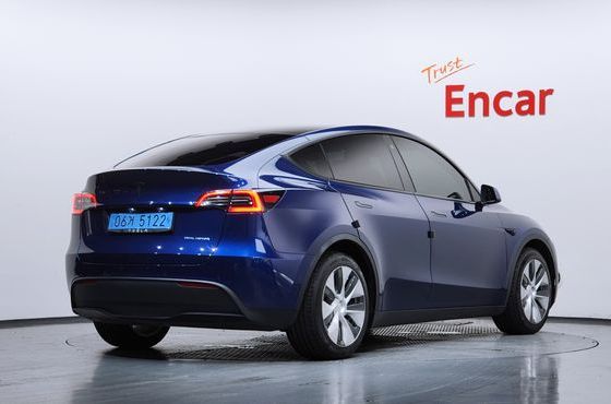 Tesla Model Y Long Range AWD — пробег 73 462 км — фото 2 из 5