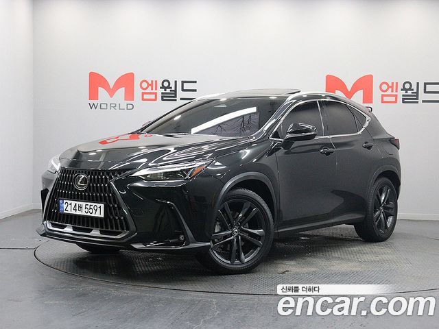 Lexus NX Premium — пробег 28 062 км — фото 1 из 5