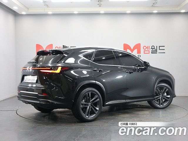 Lexus NX Premium — пробег 28 062 км — фото 3 из 5