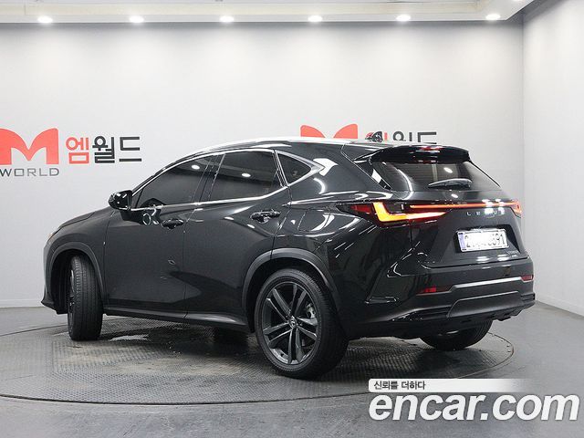 Lexus NX Premium — пробег 28 062 км — фото 4 из 5