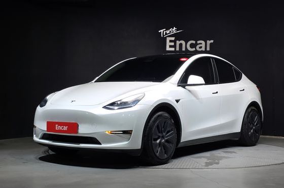 Tesla Model Y Standard Range RWD — пробег 112 632 км — фото 1 из 5