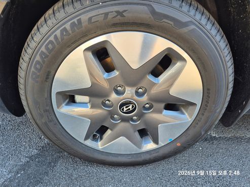 Hyundai Staria 4WD Tourer 9-Seater Modern — пробег 63 км — фото 5 из 5