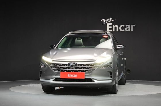 Hyundai Nexo Premium — пробег 132 213 км — фото 3 из 5