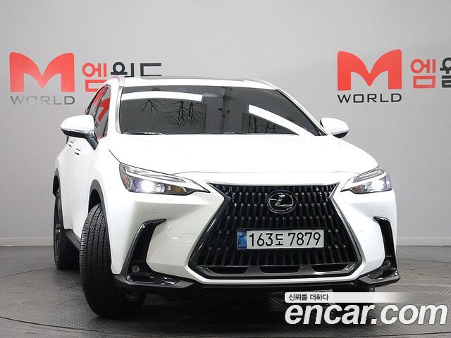 Lexus NX Premium — пробег 4 931 км — фото 3 из 5