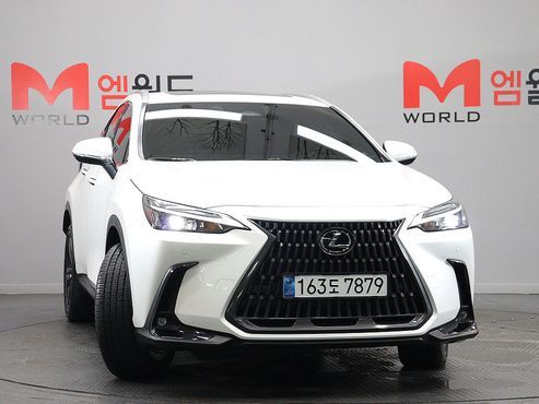 Lexus NX Premium — пробег 4 931 км — фото 3 из 5