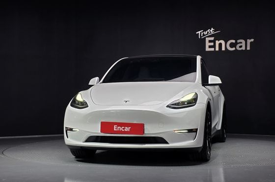 Tesla Model Y Performance AWD — пробег 25 205 км — фото 3 из 5