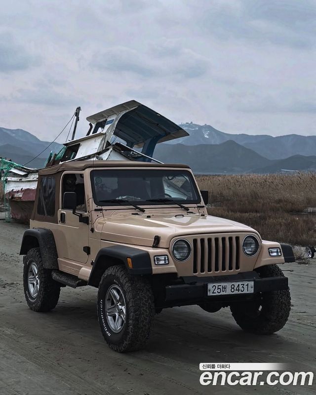 Jeep Wrangler 4.0 — пробег 399 500 км — фото 1 из 5