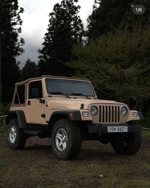 Jeep Wrangler 4.0 — пробег 399 500 км — фото 3 из 5