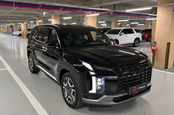 Hyundai Palisade Diesel 2.2 2WD Le Blanc — пробег 49 666 км — фото 1 из 5