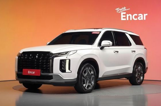 Hyundai Palisade Diesel 2.2 2WD Le Blanc — пробег 61 017 км — фото 1 из 5