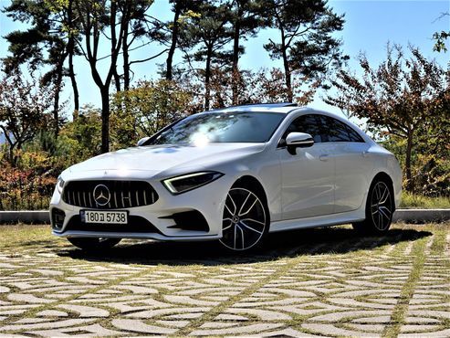 Mercedes-Benz CLS-Class CLS400d 4MATIC AMG Line — пробег 185 636 км — фото 1 из 5