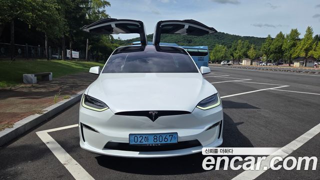 Tesla Model X AWD — пробег 36 300 км — фото 1 из 5