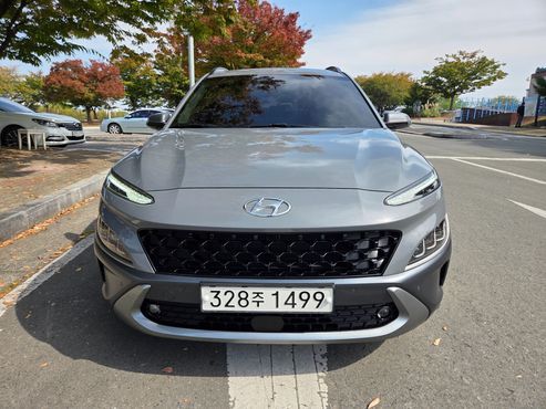 Hyundai Kona Inspiration — пробег 161 589 км — фото 2 из 5