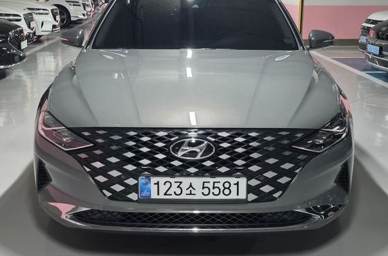 Hyundai Grandeur Premium — пробег 49 076 км — фото 1 из 5