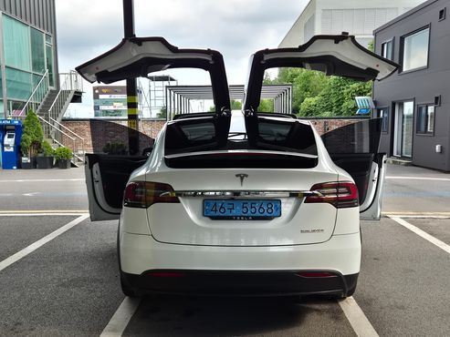 Tesla Model X Performance — пробег 42 000 км — фото 4 из 5