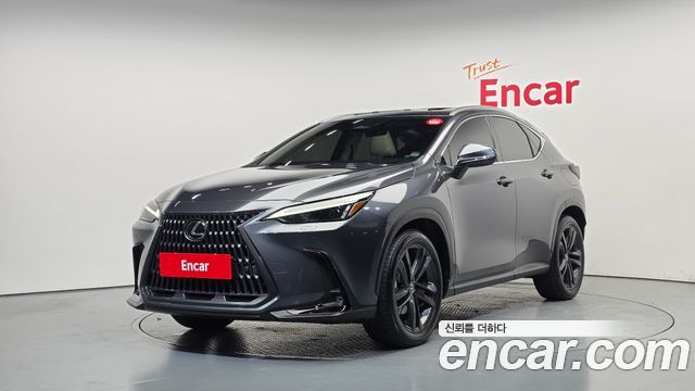 Lexus NX Premium — пробег 21 198 км — фото 1 из 5
