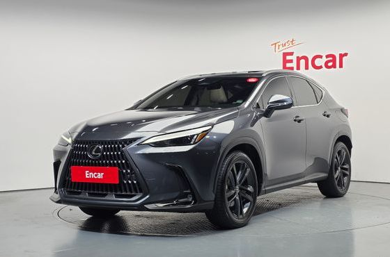 Lexus NX Premium — пробег 21 198 км — фото 1 из 5