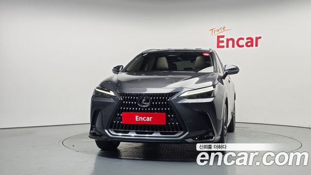 Lexus NX Premium — пробег 21 198 км — фото 3 из 5