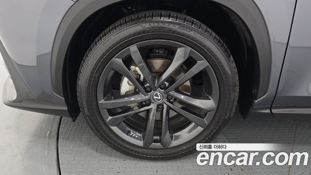 Lexus NX Premium — пробег 21 198 км — фото 5 из 5