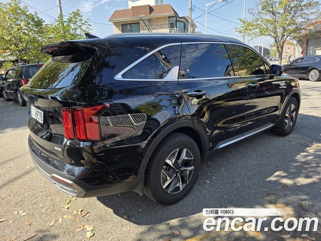 Kia Sorento HEV 1.6 2WD Signature — пробег 58 116 км — фото 5 из 5