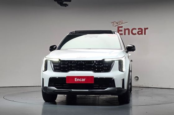 Kia Sorento HEV 1.6 2WD Gravity — пробег 22 916 км — фото 3 из 5