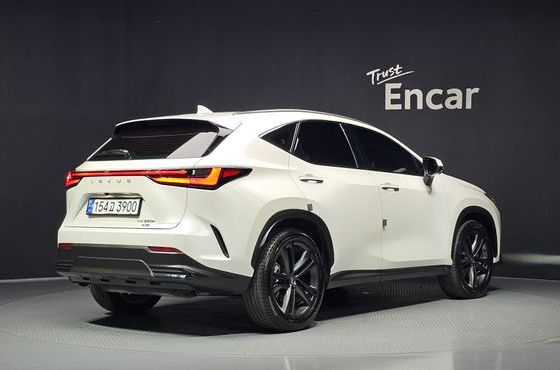 Lexus NX Premium — пробег 50 956 км — фото 2 из 5