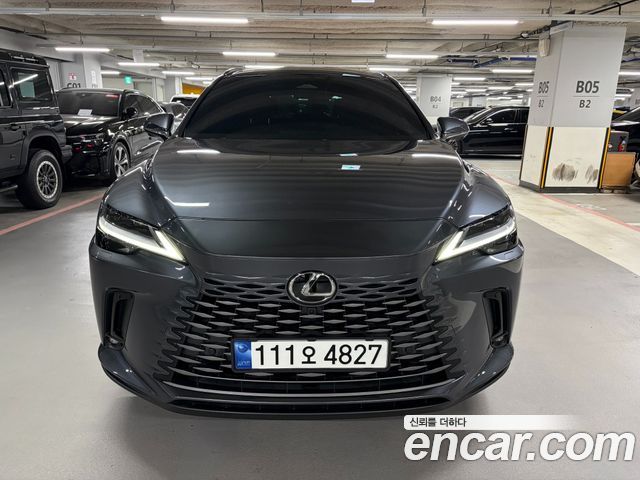 Lexus RX Luxury — пробег 40 493 км — фото 1 из 5