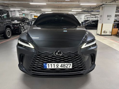 Lexus RX Luxury — пробег 40 493 км — фото 1 из 5
