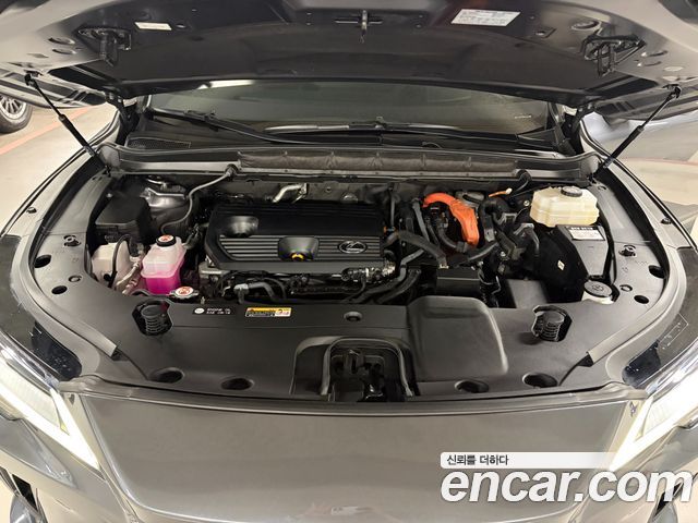 Lexus RX Luxury — пробег 40 493 км — фото 5 из 5