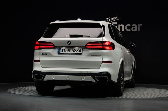 BMW X5 xDrive 30d M Sport — пробег 19 176 км — фото 4 из 5