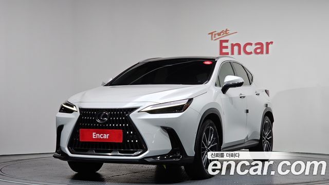 Lexus NX Luxury — пробег 94 769 км — фото 1 из 5