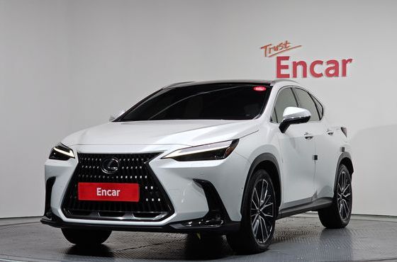 Lexus NX Luxury — пробег 94 769 км — фото 1 из 5