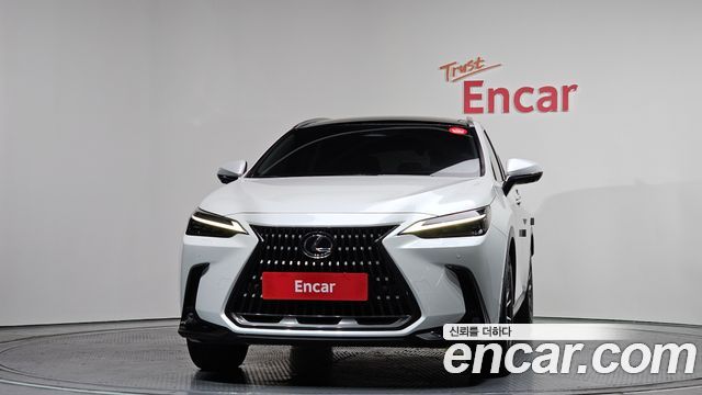 Lexus NX Luxury — пробег 94 769 км — фото 3 из 5