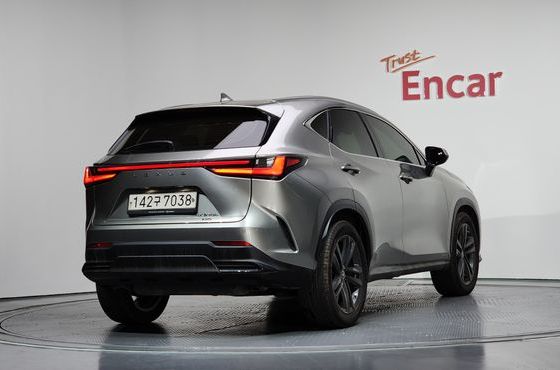 Lexus NX Premium — пробег 99 021 км — фото 2 из 5