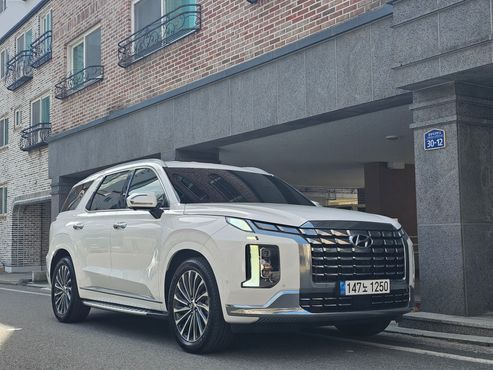 Hyundai Palisade Diesel 2.2 4WD Calligraphy — пробег 75 234 км — фото 1 из 5