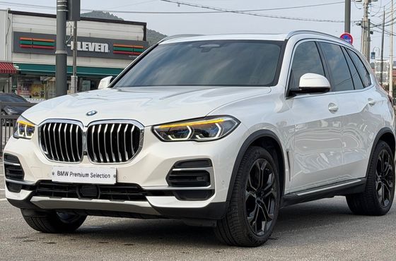 BMW X5 xDrive 40i xLine — пробег 76 579 км — фото 1 из 5