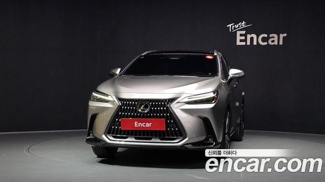 Lexus NX Luxury — пробег 1 178 км — фото 3 из 5