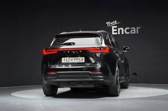 Lexus NX Premium — пробег 118 343 км — фото 4 из 5