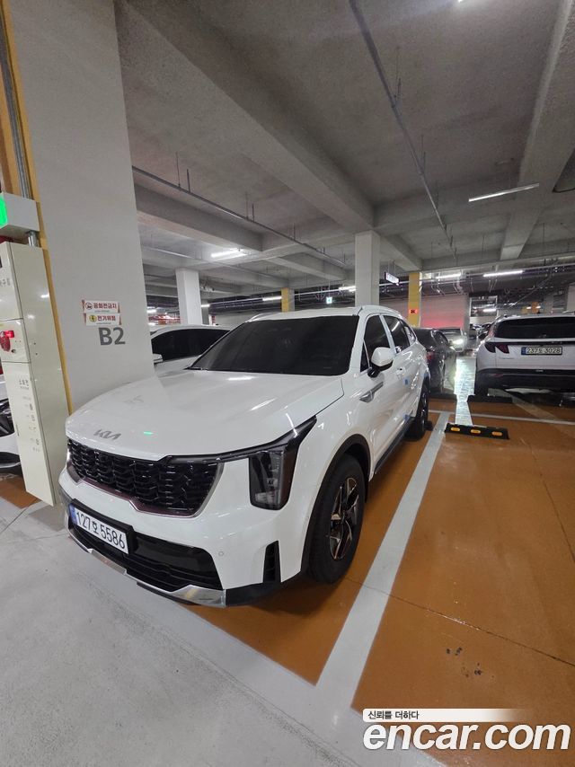 Kia Sorento HEV 1.6 2WD Noblesse — пробег 4 500 км — фото 1 из 5