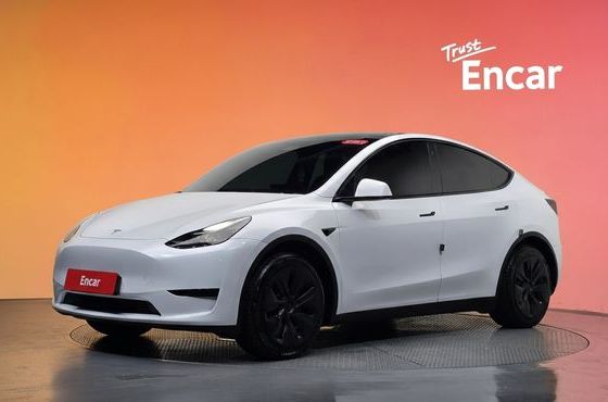 Tesla Model Y RWD — пробег 45 372 км — фото 1 из 5