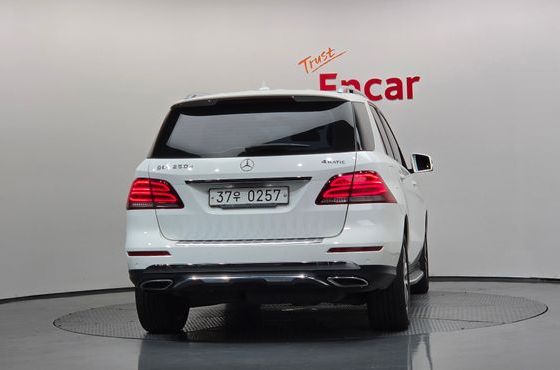 Mercedes-Benz GLE-Class GLE250 d 4MATIC — пробег 85 560 км — фото 4 из 5