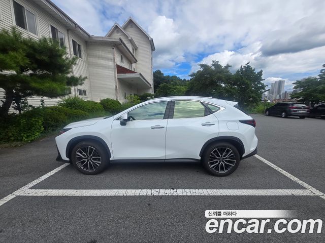 Lexus NX Luxury — пробег 5 000 км — фото 5 из 5