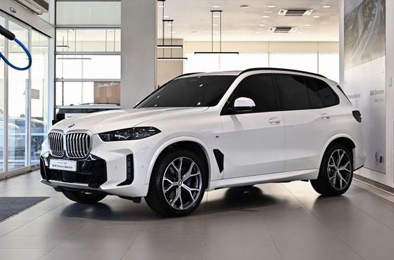 BMW X5 xDrive 40i M Sport — пробег 29 130 км — фото 1 из 5