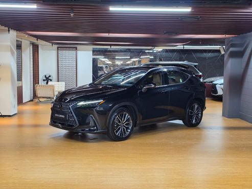 Lexus NX Luxury — пробег 4 748 км — фото 1 из 5