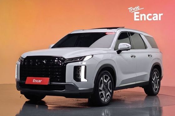Hyundai Palisade Gasoline 3.8 4WD Le Blanc — пробег 20 971 км — фото 1 из 5