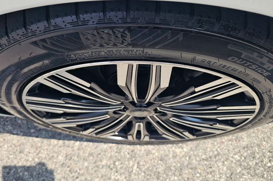 Hyundai Equus VS500 Prestige — пробег 365 901 км — фото 5 из 5