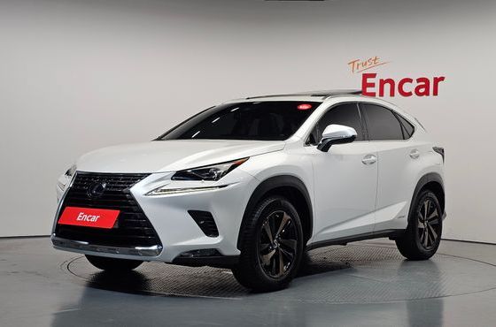 Lexus NX Executive — пробег 53 985 км — фото 1 из 5