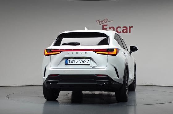Lexus NX Premium — пробег 13 371 км — фото 4 из 5