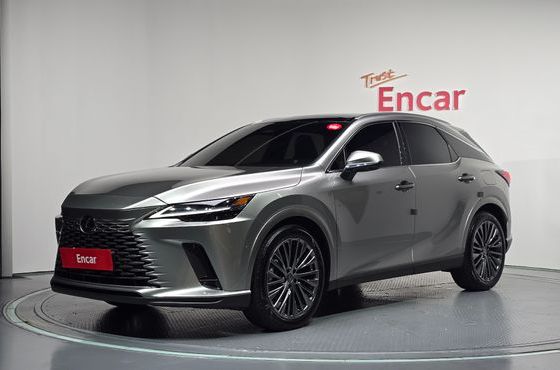 Lexus RX Luxury — пробег 13 688 км — фото 1 из 5
